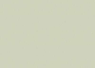 R 25537 Обои Fipar (1*4) 10,05х1,06 винил на флизелине 400_400_2150051