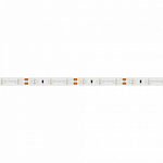 Лента светодиодная Arlight RT открытая 013571(2) 250_100_1893205