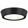Накладной светильник Lightstar Urbano mini 214772 100_100_2448532