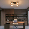 Потолочная люстра Citilux ESPACE CL243141 100_100_2877249