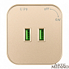 Розетка 2xUSB на треке Arte Milano Am-track-sockets 380022TS/USBx2 Gold 100_100_2165142