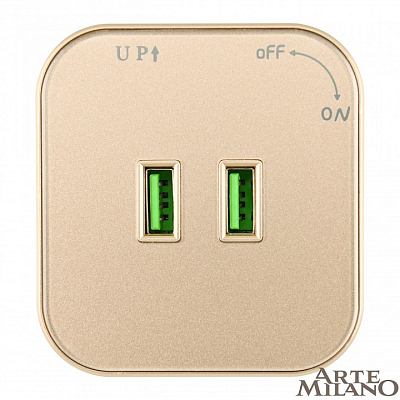 Розетка 2xUSB на треке Arte Milano Am-track-sockets 380022TS/USBx2 Gold 400_400_2165142