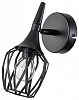 Спот Escada Gale 1120/1A 100_100_2156861