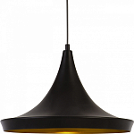 Подвесной светильник Arte Lamp Capello A3406SP-1BK 250_100_3080840
