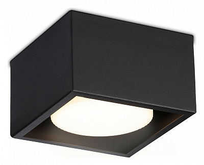 Накладной светильник Ambrella Light TN TN70827 400_400_2442397