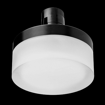 Накладной светильник Lightstar Due Hermes 210647 400_400_2836743