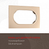 Рамка для двойной розетки Arte Milano am-502.04 502.04-double.shampan 100_100_2168150