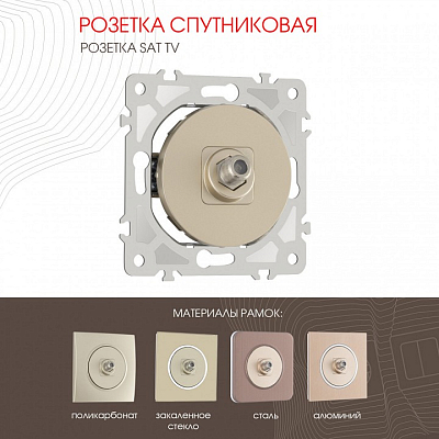 ТВ-розетка без рамки Arte Milano am-202 202.42-1.shampan 400_400_2165877