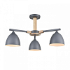 Люстра на штанге Lumion Colange 8096/3C 100_100_1864949