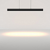 Подвесной светильник Maytoni Technical Ephoria P109PL-36W2.7-6K-B 100_100_2834845