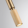 Подвесной светильник Odeon Light Caucho 7061/1A 100_100_1731795