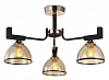 Люстра на штанге Ambrella Light TR TR9098 100_100_2421907