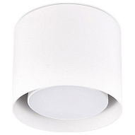 Накладной светильник Ambrella Light TN TN700 500_191_2442390
