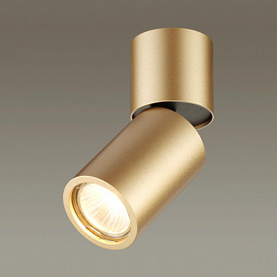 Накладной светильник Odeon Light Duetta 3895/1C 400_400_1723861