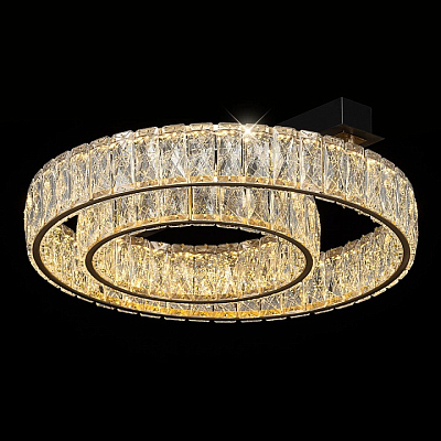 Накладной светильник Citilux PALANT CL325152 400_400_2820184