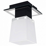 Потолочный светильник Lussole LSC-2507-01 250_100_Array