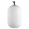 Подвесной светильник Odeon Light Roofi 4752/1 100_100_2464146