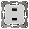 Розетка USB, без рамки Эра Эра 12 12-4110-01 100_100_2394560