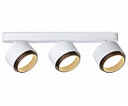 Спот Ambrella Light TN TN71291 250_100_Array