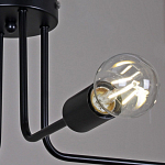Потолочная люстра ILLUMICO  IL2000-8C-05 BK 250_100_2038745