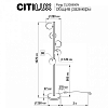 Торшер Citilux Рунд CL205950N 100_100_1674039