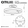 Светильник на штанге Citilux Дуэт CL719761 100_100_1694818