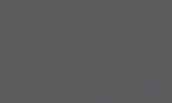 A101119 Обои ARTSIMPLE (1*6) 10,00x1,06 винил на флизелине 250_100_Array