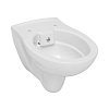 0426KSS110H унитаз подвесной, безободковый, 53x36 см, Serel 100_100_2731304