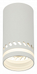 Накладной светильник Эра OL50 WH Б0059802 250_100_1951786