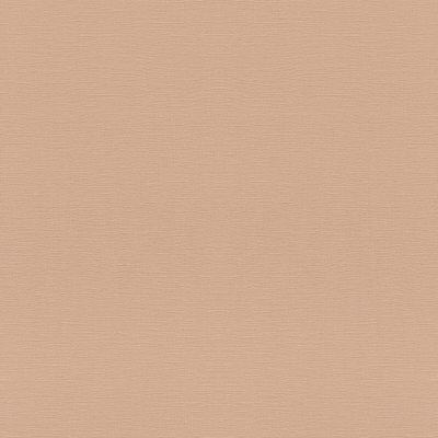 687576 Обои Rasch (1*12) 10,05x0,53 винил на флизелине 400_400_2323953