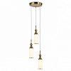 Подвесной светильник Ambrella Light LH LH55272 100_100_2028856