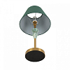 Настольная лампа декоративная Lumion VERMONT 8275/1T 100_100_2172848