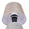 Настольная лампа декоративная Lumion Tareka 8215/1T 100_100_1866568
