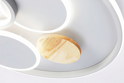 Накладной светильник Ambrella Light FL FL4803 400_400_2025825