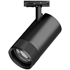 Светильник на штанге Lightstar Canno Pro C4407SS 100_100_3075879