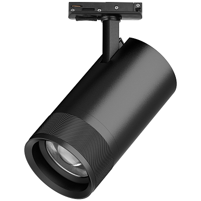 Светильник на штанге Lightstar Canno Pro C4407SS 400_400_3075879