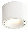 Накладной светильник Wertmark WTA.O06 WTA.O06.007.40.12 100_100_2452084