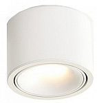 Накладной светильник Wertmark WTA.O06 WTA.O06.007.40.12 250_100_Array