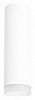 Накладной светильник Lightstar Rullo R649680 100_100_2448455