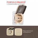 Розетка влагозащищенная с заземлением и со шторкой с крышкой Arte Milano am-205 205.41-1.shampan 250_100_2167032