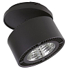 Спот Lightstar Forte Inca 214847 100_100_1711803