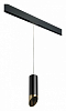 Подвесной светильник Lightstar Rullo PRORP487131 100_100_2460414