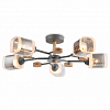 Люстра на штанге Ambrella Light TR TR3033233 100_100_2421841