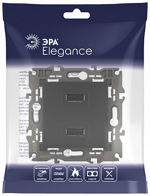 Розетка 2хUSB type A без рамки Эра Эра Elegance 14-4110-05 400_400_2400902