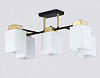 Люстра на штанге Ambrella Light TR TR303048 100_100_2029770