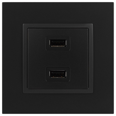 Розетка 2хUSB type A без рамки Эра Эра Elegance 14-4110-05 400_400_2400898