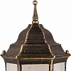 Наземный низкий светильник Arte Lamp Pegasus A3151FN-1BN 100_100_1821360