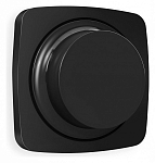 Накладка для диммера Ambrella Volt OMEGA OP8055 250_100_2192502