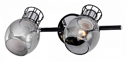 Спот Escada Phantom 1136/2A 250_100_1942102