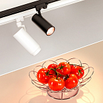 Светильник на штанге Arlight ZEUS FOOD 032455 250_100_1890936